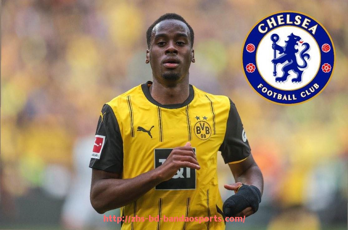 半岛体育-世俱杯比赛中裁判权力范围与职责说明细则指南